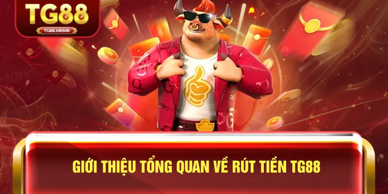 Giới Thiệu Tổng Quan Về Rút Tiền TG88